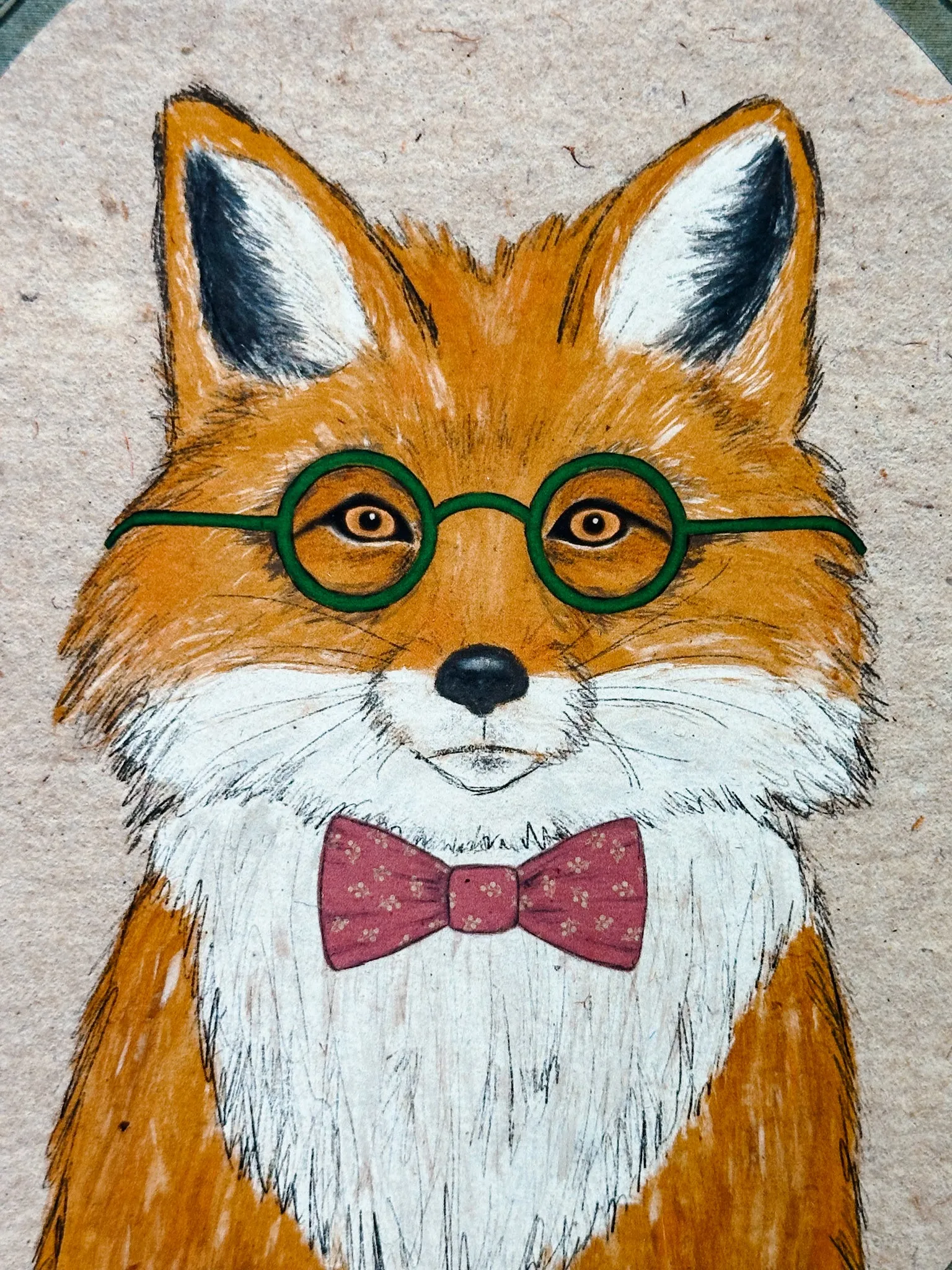 Distinguished Fox