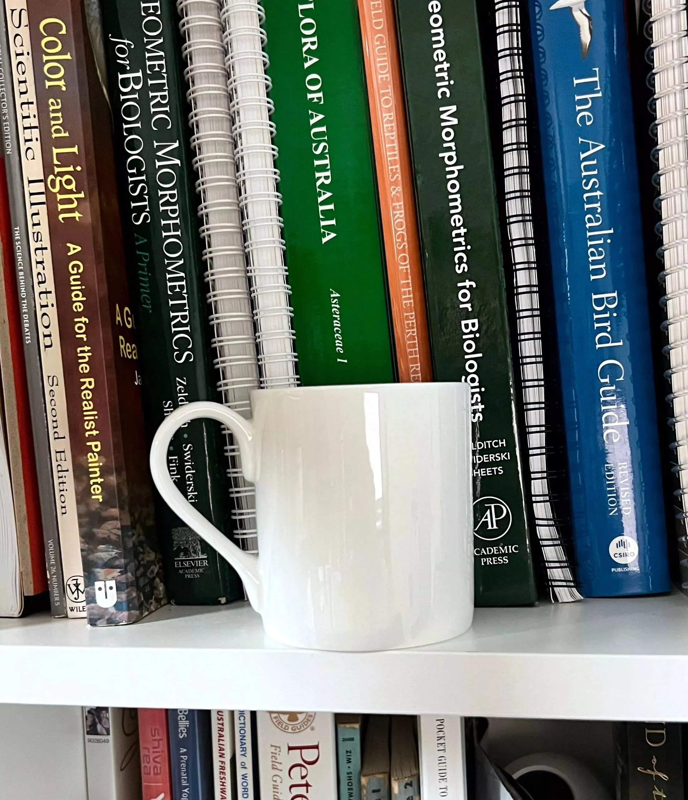 Rainbow Trout - Fine Bone China Mug
